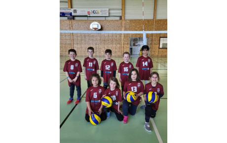 Ecole de VOLLEY